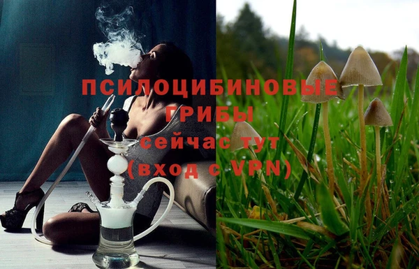 spice Волосово