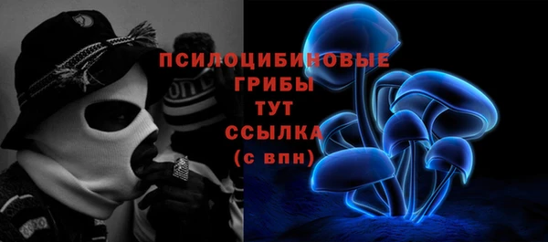прущие крисы Вяземский
