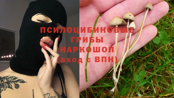 хмурый Волоколамск
