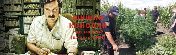 spice Волосово