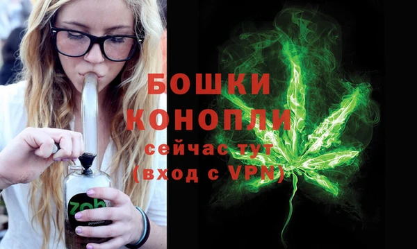 прущие крисы Вяземский