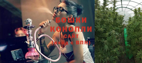 твердый Гусев