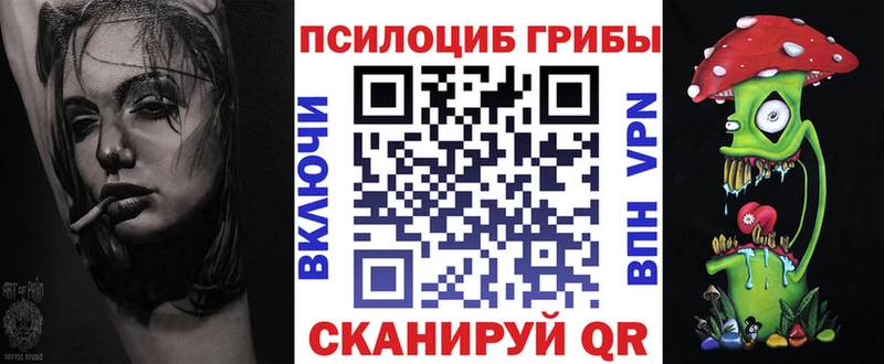 darknet какой сайт  Дмитров  Галлюциногенные грибы ЛСД 